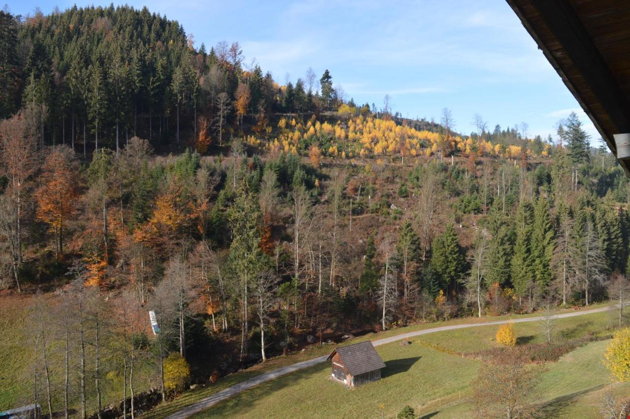 Landhaus Eickler Baiersbronn Extérieur photo